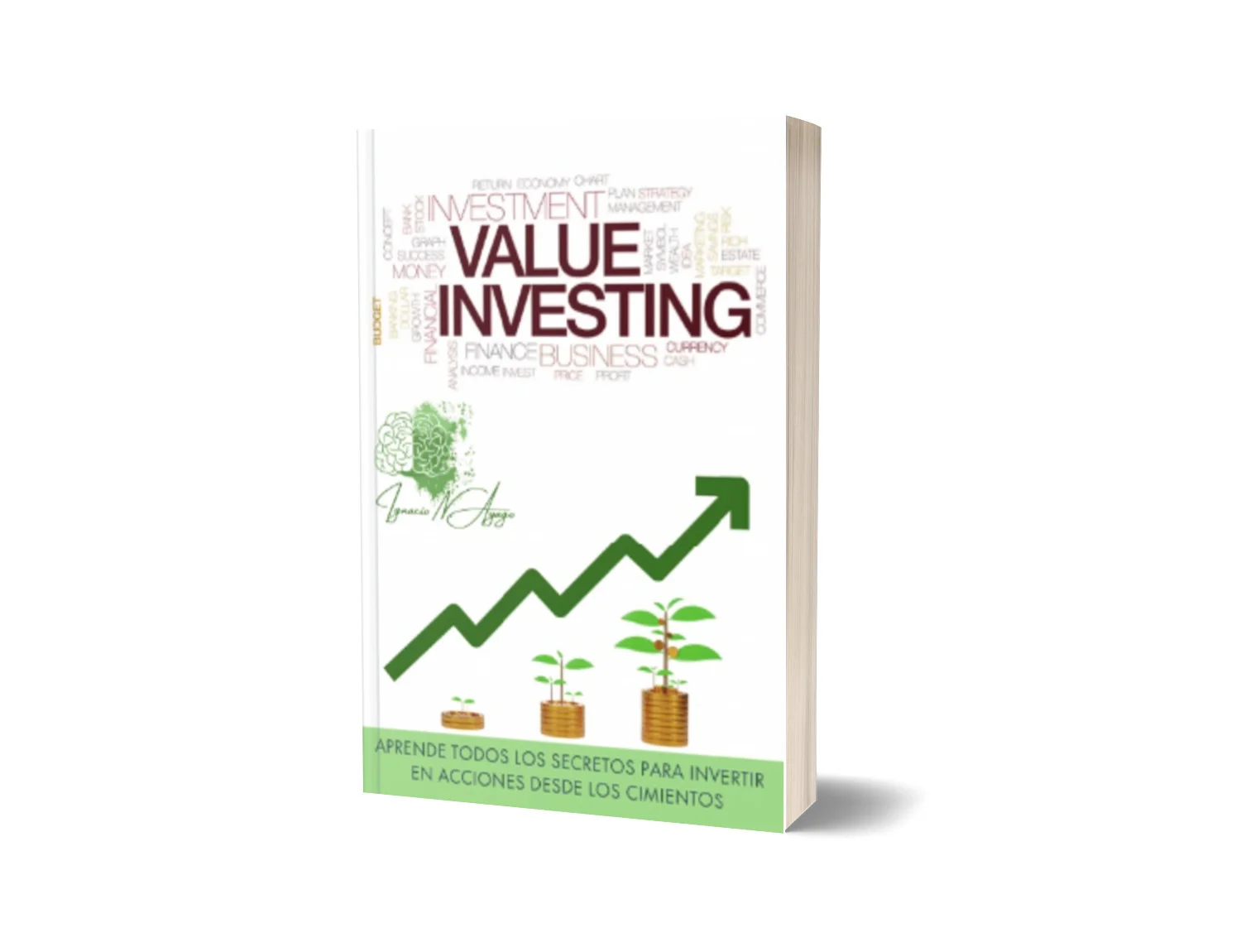 Libro Value Investing en Acciones